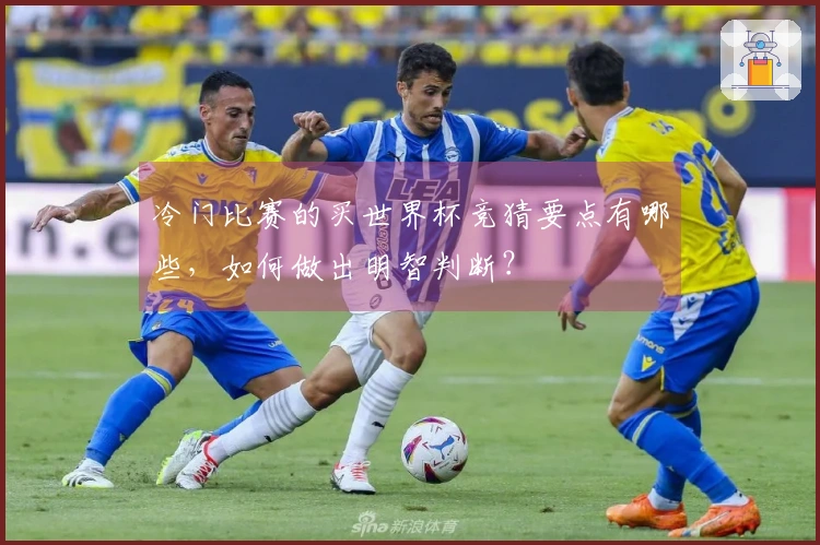 冷门比赛的买世界杯竞猜要点有哪些，如何做出明智判断？