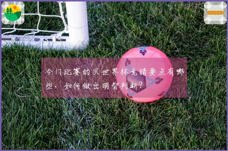冷门比赛的买世界杯竞猜要点有哪些，如何做出明智判断？