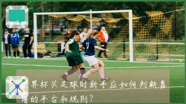 世界杯买足球时新手应如何判断靠谱的平台和规则？