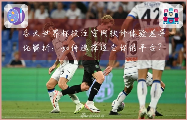 各大世界杯投注官网软件体验差异化解析，如何选择适合你的平台？