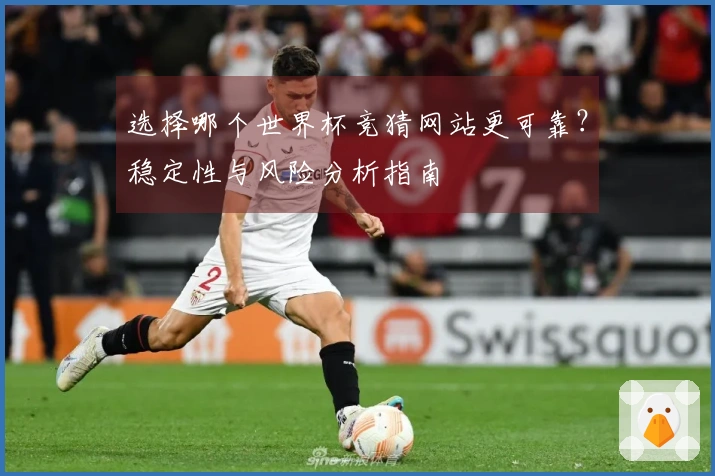 选择哪个世界杯竞猜网站更可靠？稳定性与风险分析指南