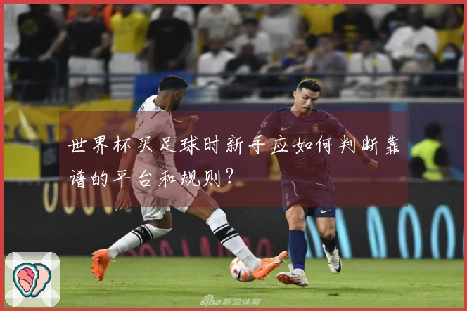 世界杯买足球时新手应如何判断靠谱的平台和规则？